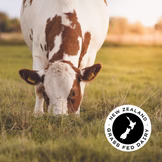 WPI   101: Whey Protein Isolate Vanilla 1kg Pouch